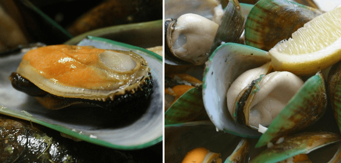 초록입홍합-모습-사진