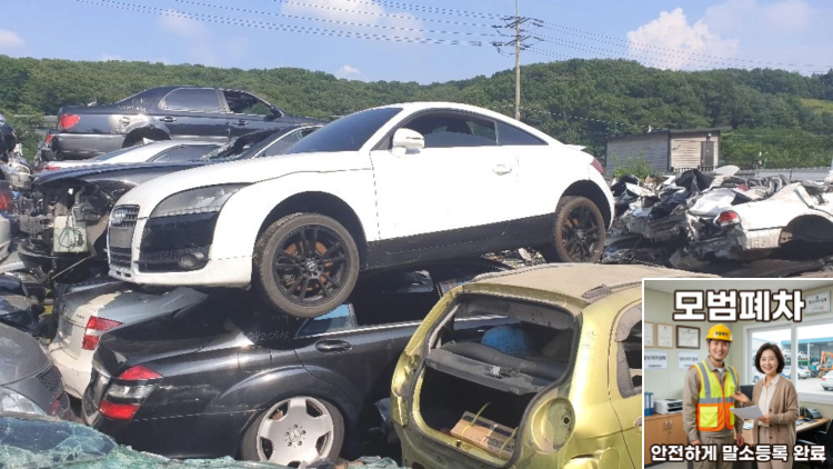 압류확인 후속 강제집행 여부 확인