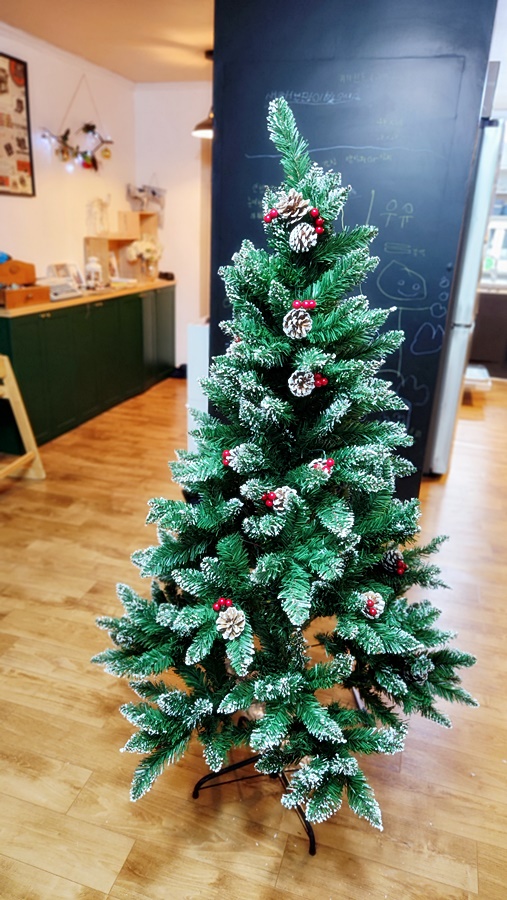 가지를 모두 펴준 모습