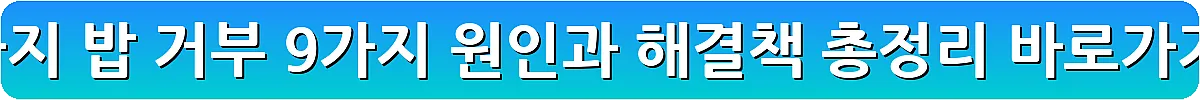 강아지 밥 거부 9가지 원인과 해결책 총정리_6