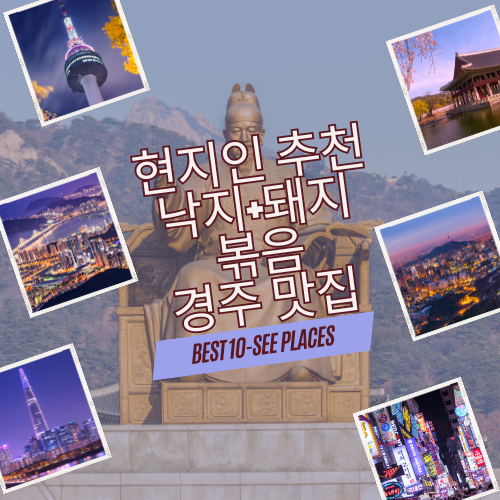 조선팔도 경주 현지인 추천 낙지+돼지볶음 짬뽕 풍자가 또 간집 맛집