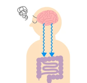 과민성 대장 증후군 (IBS)
