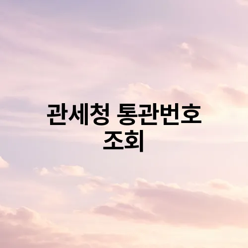 관세청 통관번호 조회