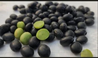 서리태 효능 먹는법 영양성분_8