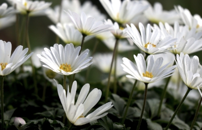 2025년 전기차 보조금