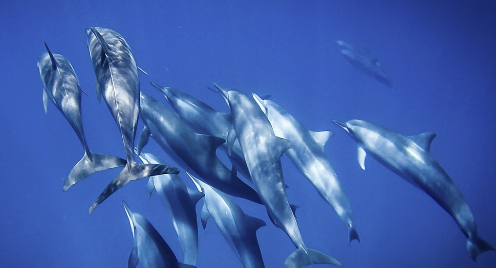 겨울방학 해외여행