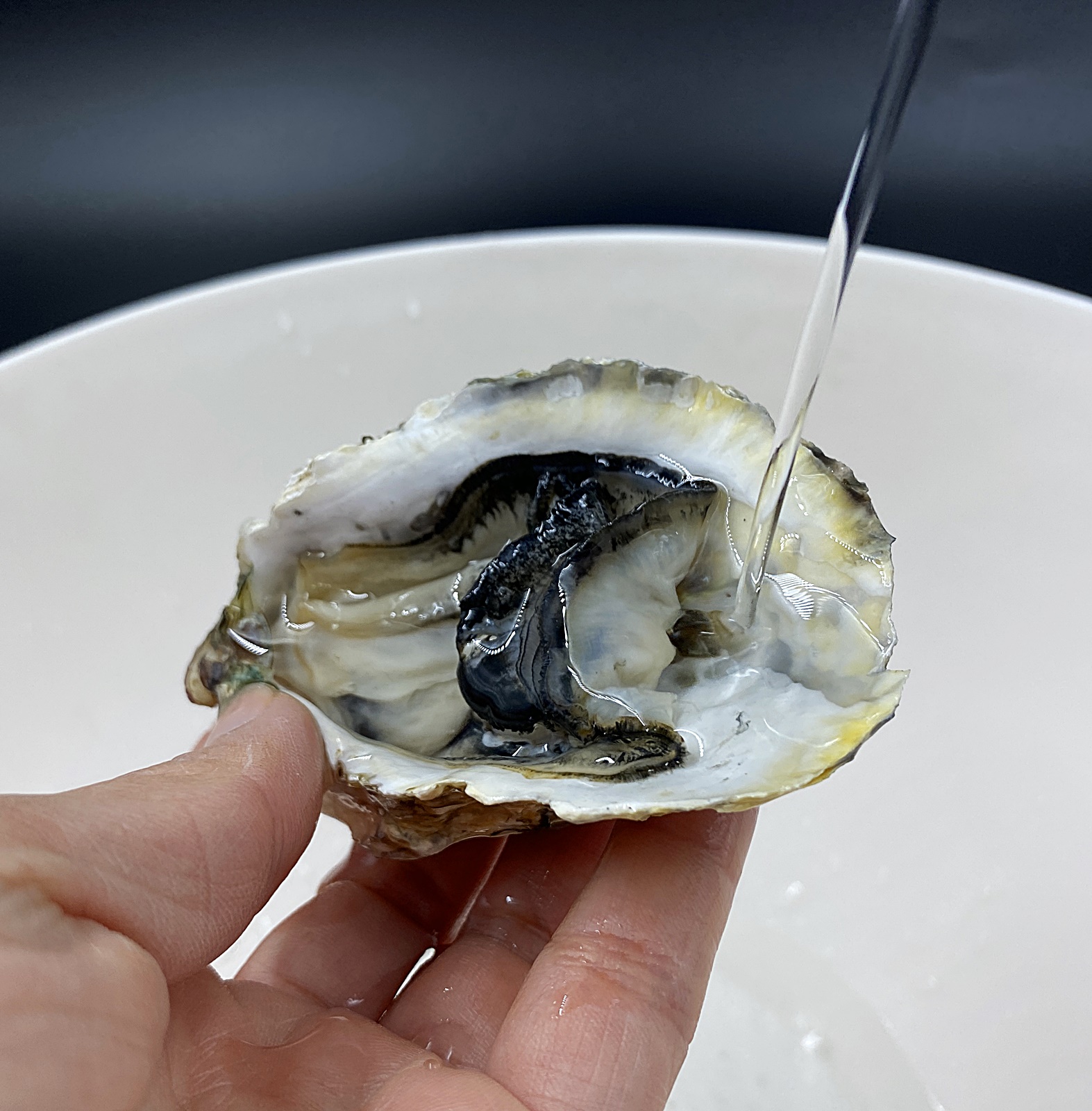 하프셀 굴 아래쪽 씻기