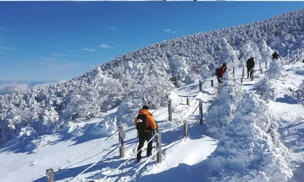 한라산 등산코스 지도 어르신도 가능한 어리목 주차 준비물_4