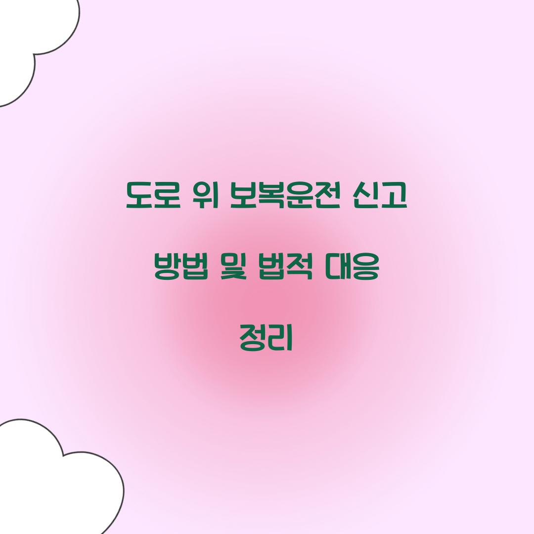 도로 위 보복운전 신고