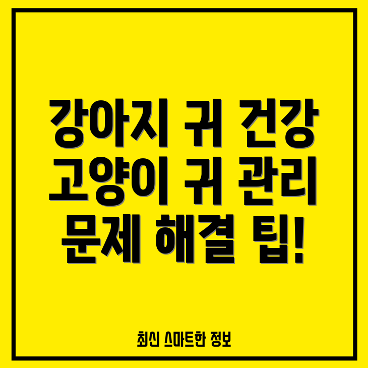 강아지와 고양이의 귀 문제