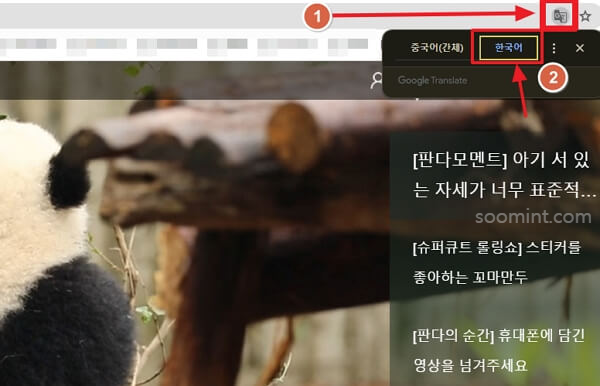 푸바오 중국 실시간 영상, 최근 소식