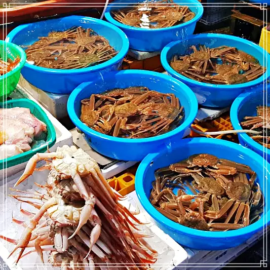 이만기-동네한바퀴-동해-문어찜-대게찜