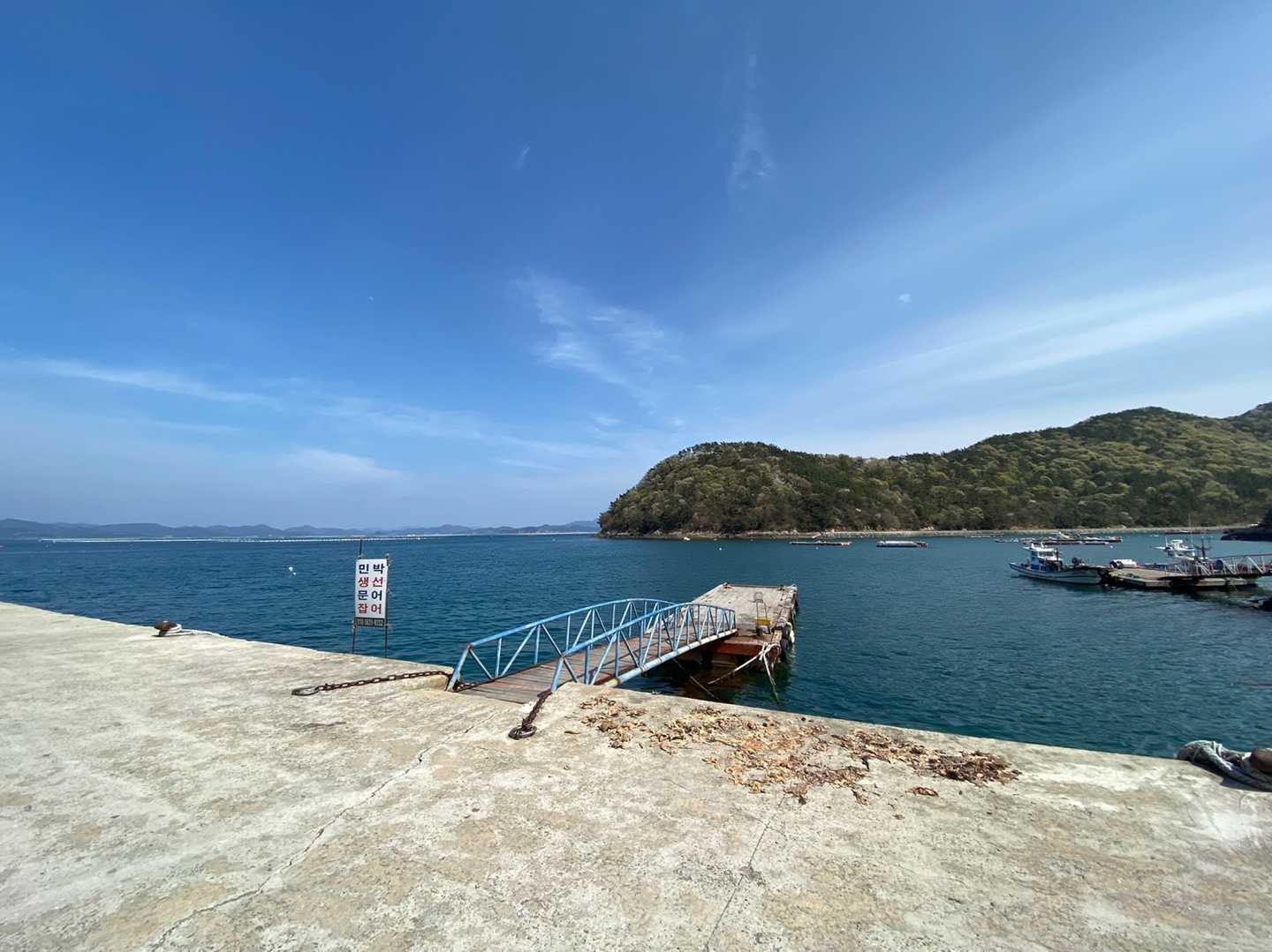 사량도 갑오징어 포인트 전경