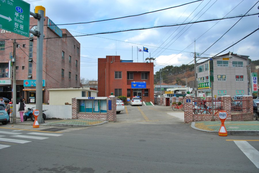 고성군 회화면 배둔리 마을 풍경