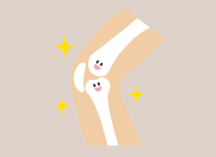 관절의-윤활-기능-강화