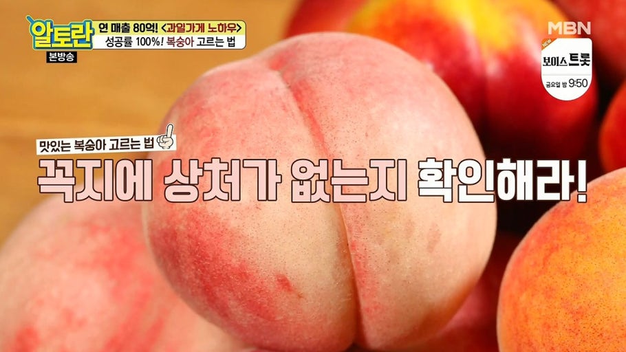 복숭아고르는법-상처확인