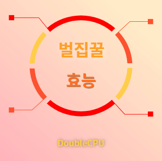 벌집꿀 효능