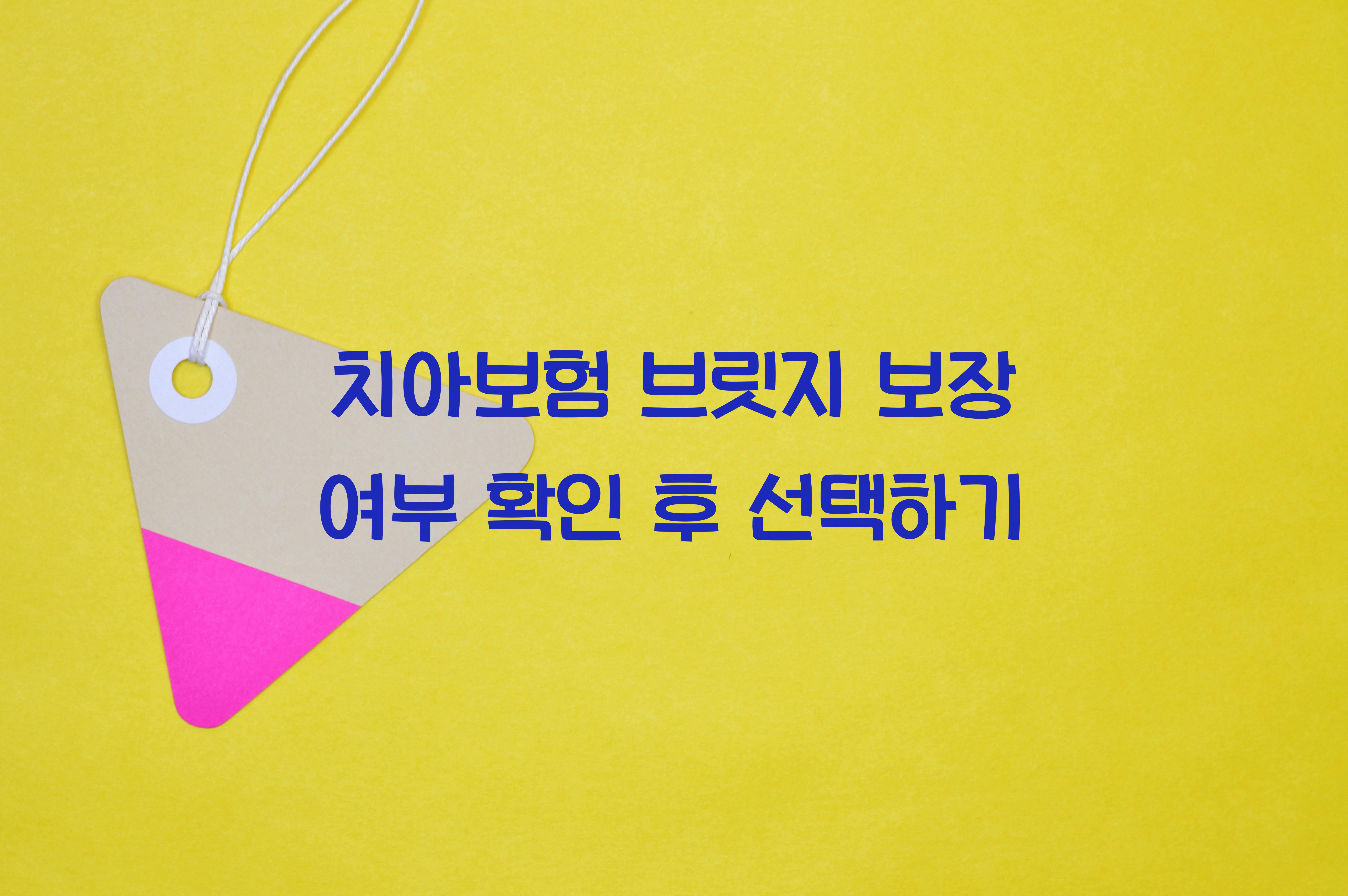 치아보험 브릿지 보장 여부