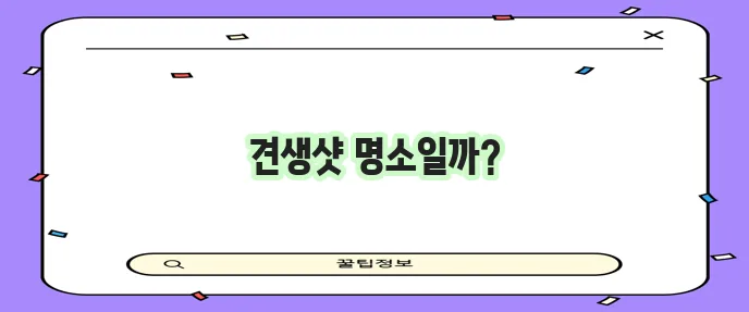 파주 글램독 그라운드 애견카페 넓은 천연 잔디장에서 행복한 시간, 정말 좋겠죠?