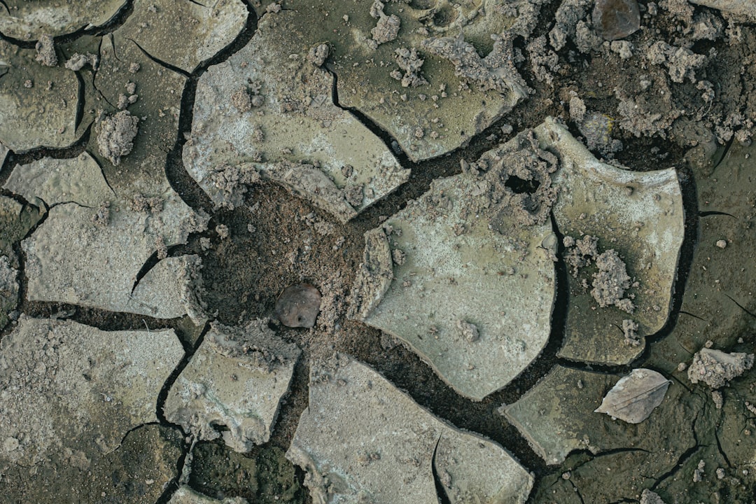 Geospatial