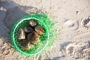 간암에-좋은-음식