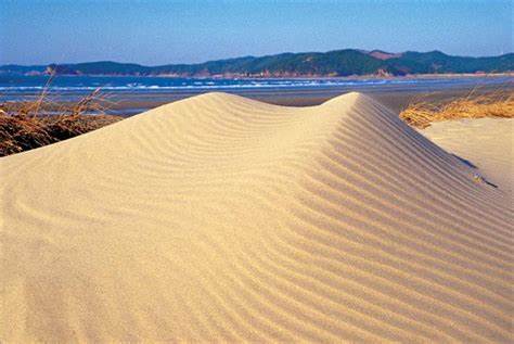 태안 신두리 해안사구