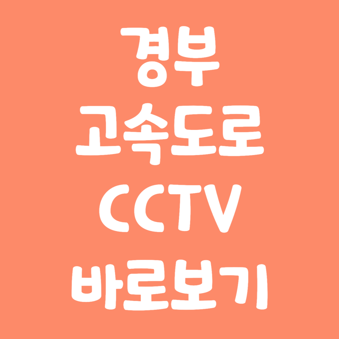 실시간 경부고속도로 CCTV 교통정보 바로보기
