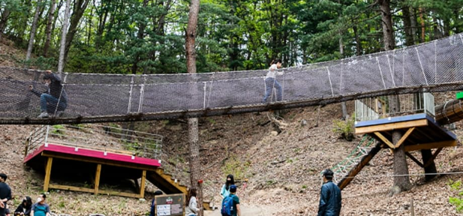 [반려견 동반, 가족 여행지]평강랜드❘아이들과 함께하는 반려견 놀이터, 캠핑장