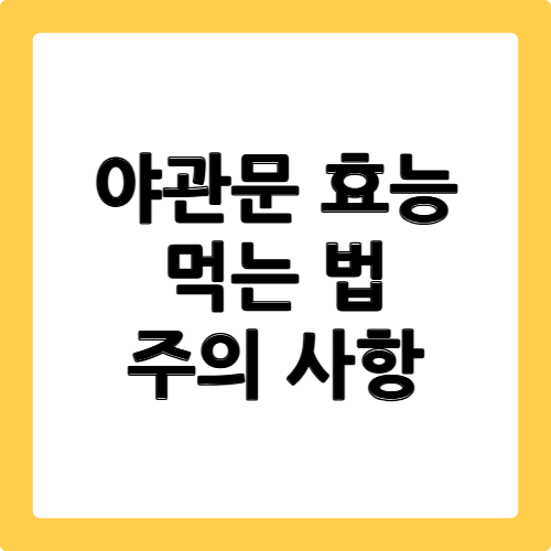 야관문 효능