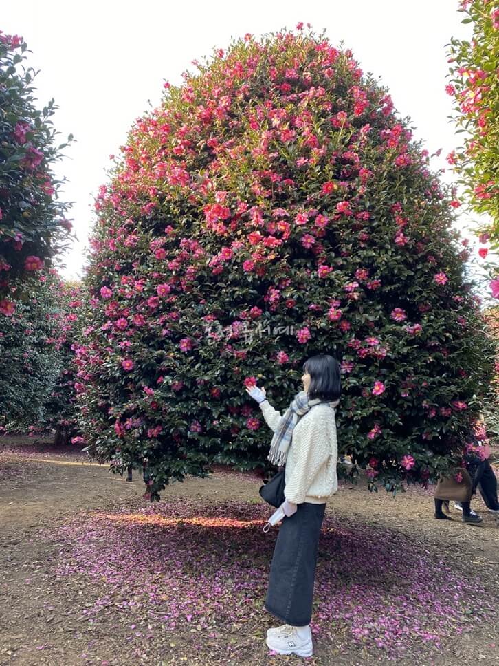 인생샷-the-pic-of-the-day