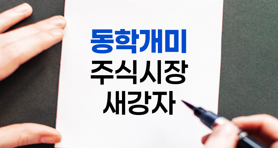 동학개미, 주식시장의 새로운 강자