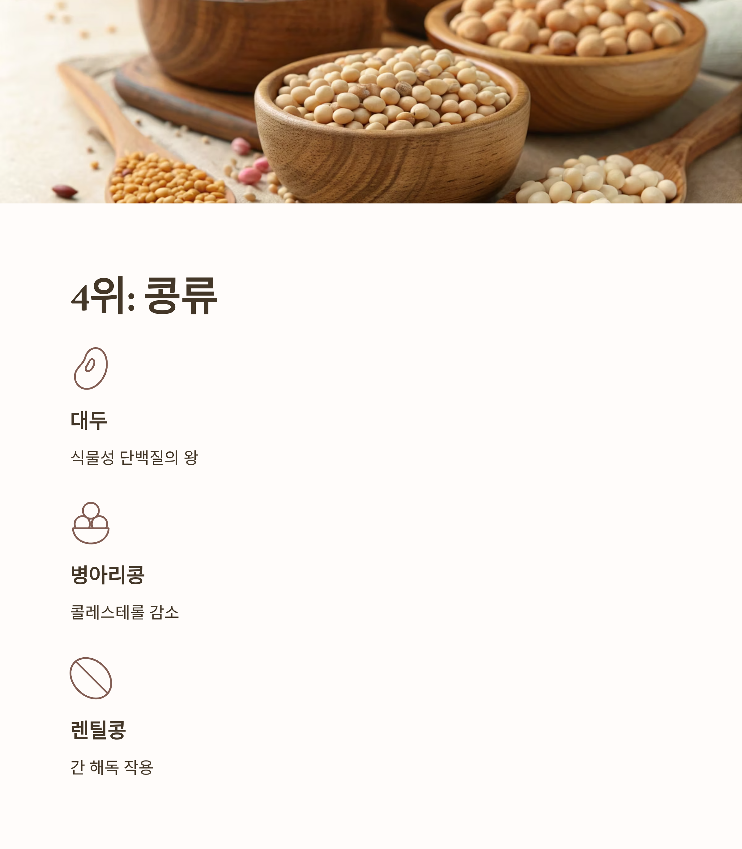 알부민 많은 음식 10가지|간 건강·면역력·부종 개선에 좋은 고단백 식단 총정리