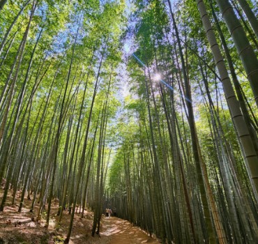 10월 부산 가볼 만한 곳