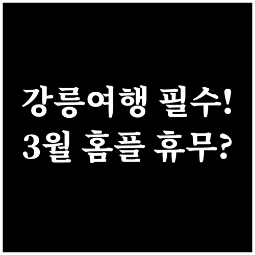 강릉 여행 필수 체크 2026년 3월..