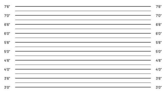 머그샷의 목전과 활용 및 역사와 미래