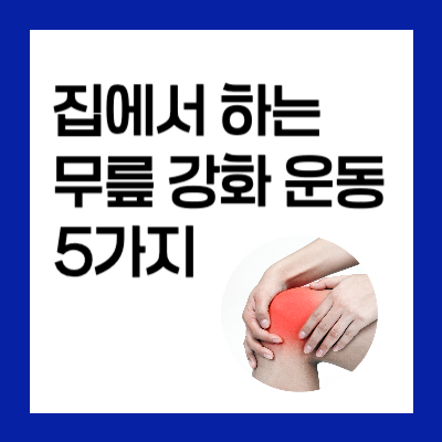 집에서 가능한 무릎 강화 운동 5가지 &ndash; 통증 없이 튼튼한 무릎 만들기