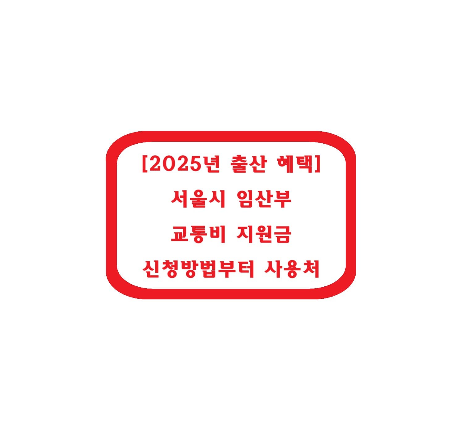 [2025년 출산 혜택] 서울시 임산부 교통비 지원금 신청방법부터 사용처까지 한눈에 정리!