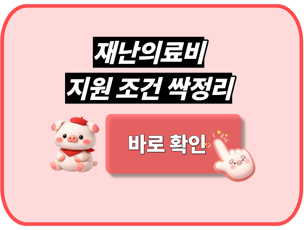 재난의료비 지원 조건 싹정리
