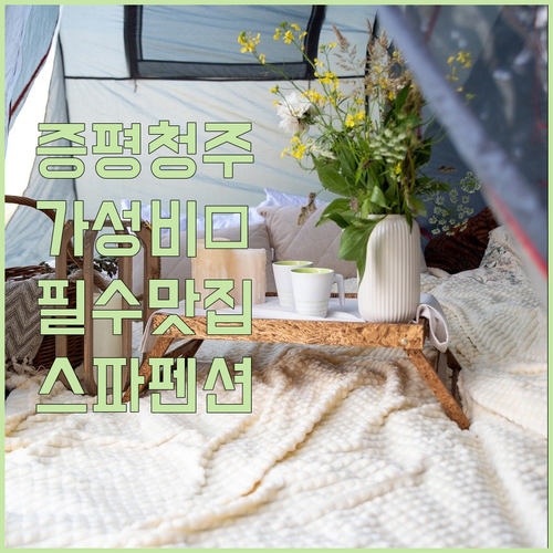 증평 청주 여행 숙소 베스트 5 가성..