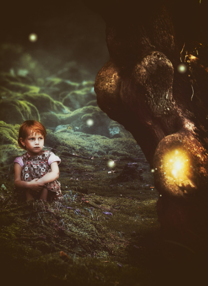 2025년 화담숲 반딧불이 이벤트