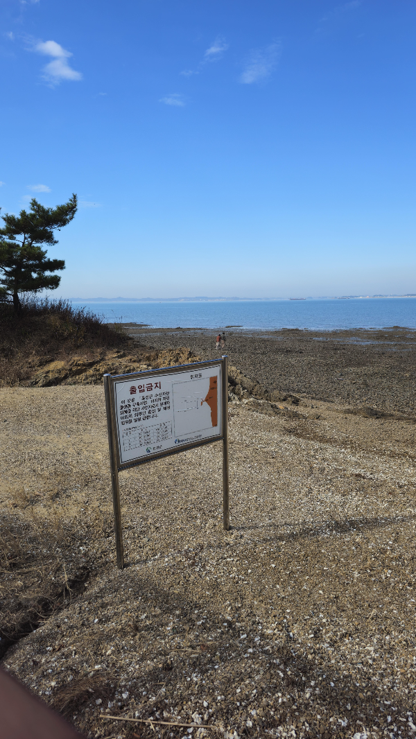 홍성스카이타워 갯벌