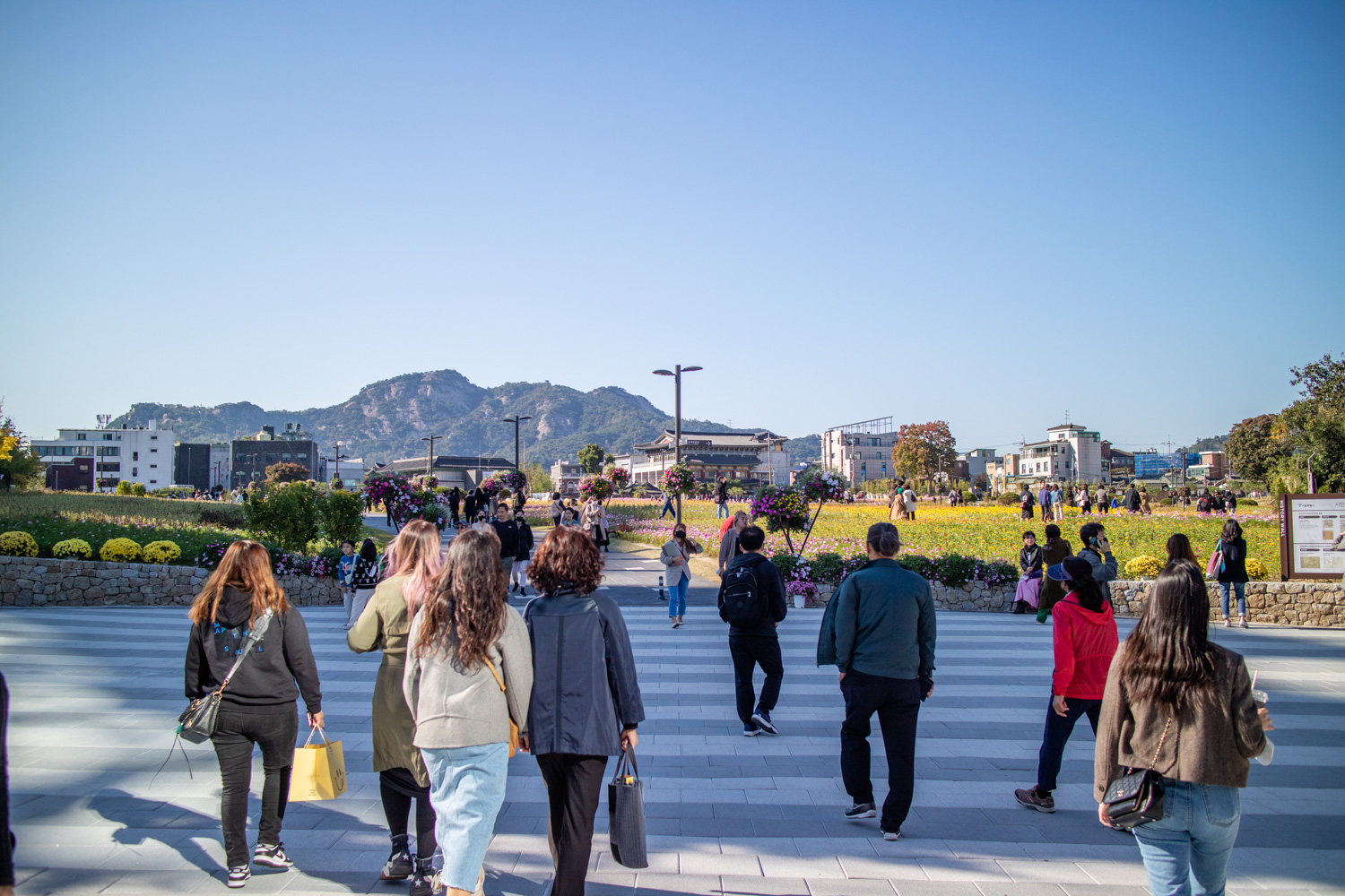 인사동 뒤 거대한 공터 송현공원 관람기