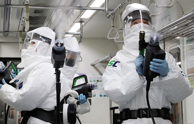 빈대 관련 주 빈대 방역과 살충 방법 세스코 문의