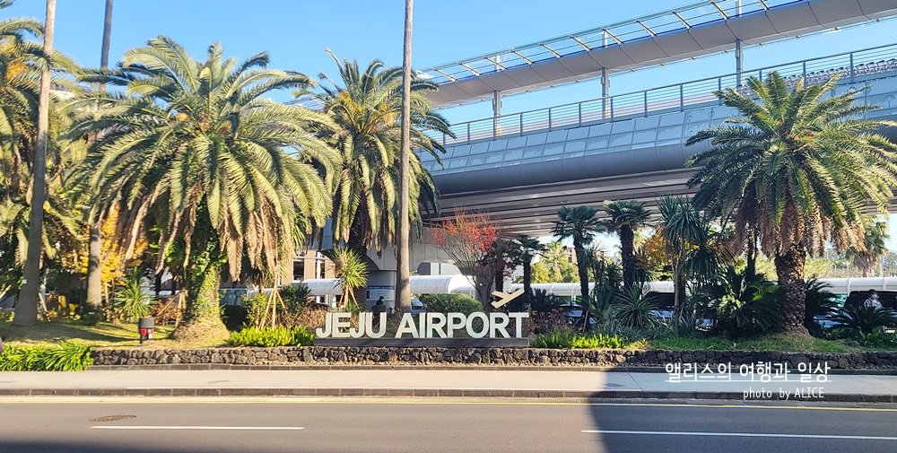 제주 픽업,드랍 서비스 후기 - 렌터카 없어도, 제주공항 픽업&amp;드랍 서비스로 간편하게 신화월드리조트 호캉스 누리기.