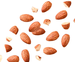 아몬드
