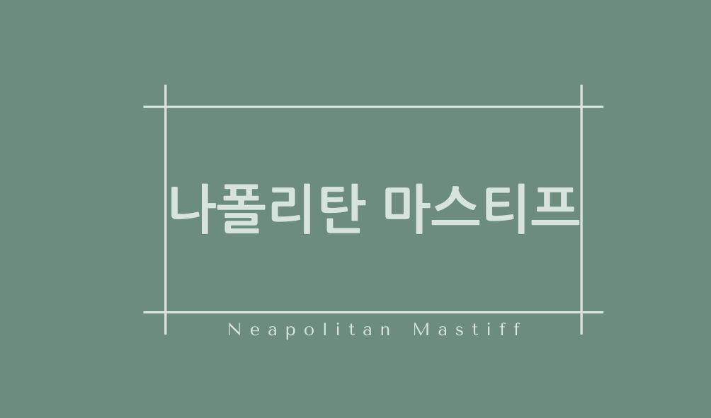 나폴리탄 마스티프(Neapolitan Mastiff)