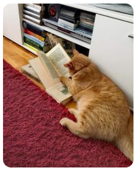 시험관 정부지원 서류