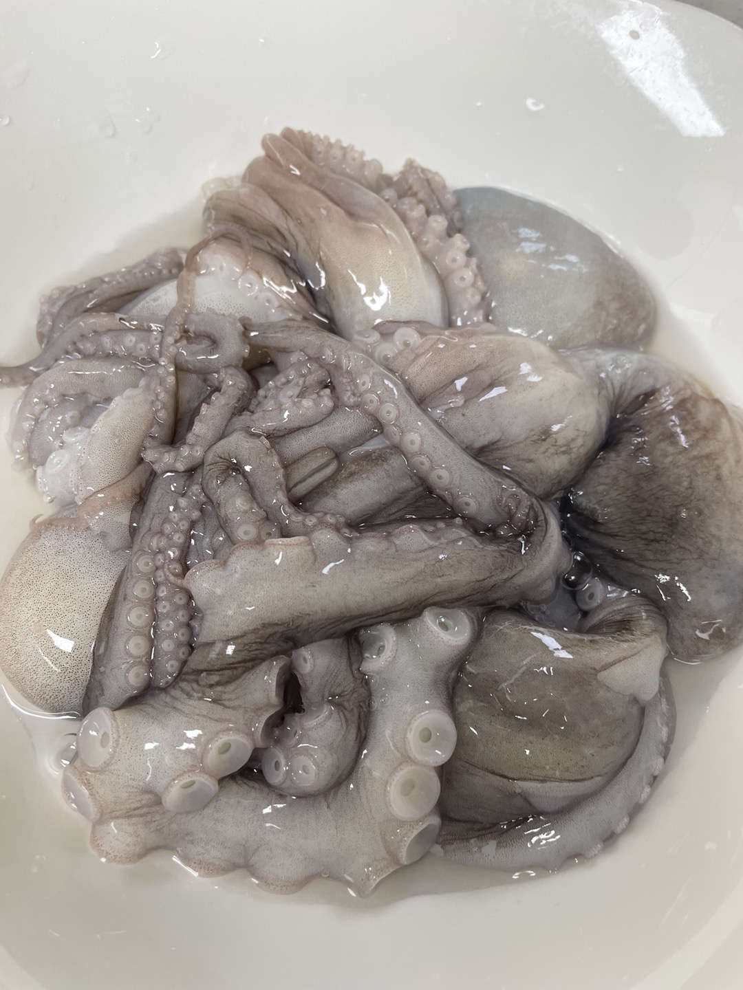 낙지 세척