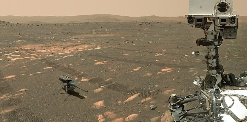 퍼서비어런스와 인제뉴어티