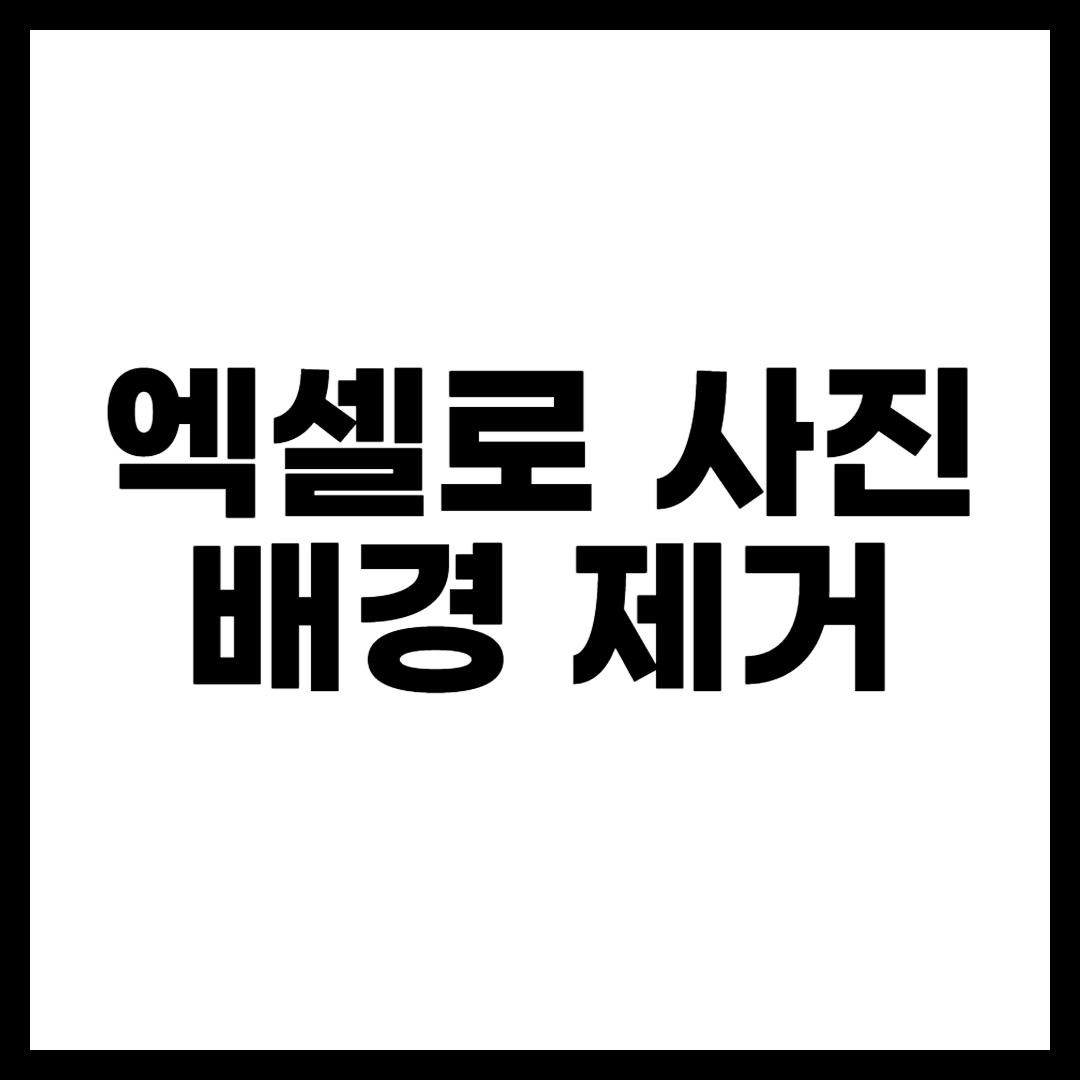 엑셀로 사진 배경 제거